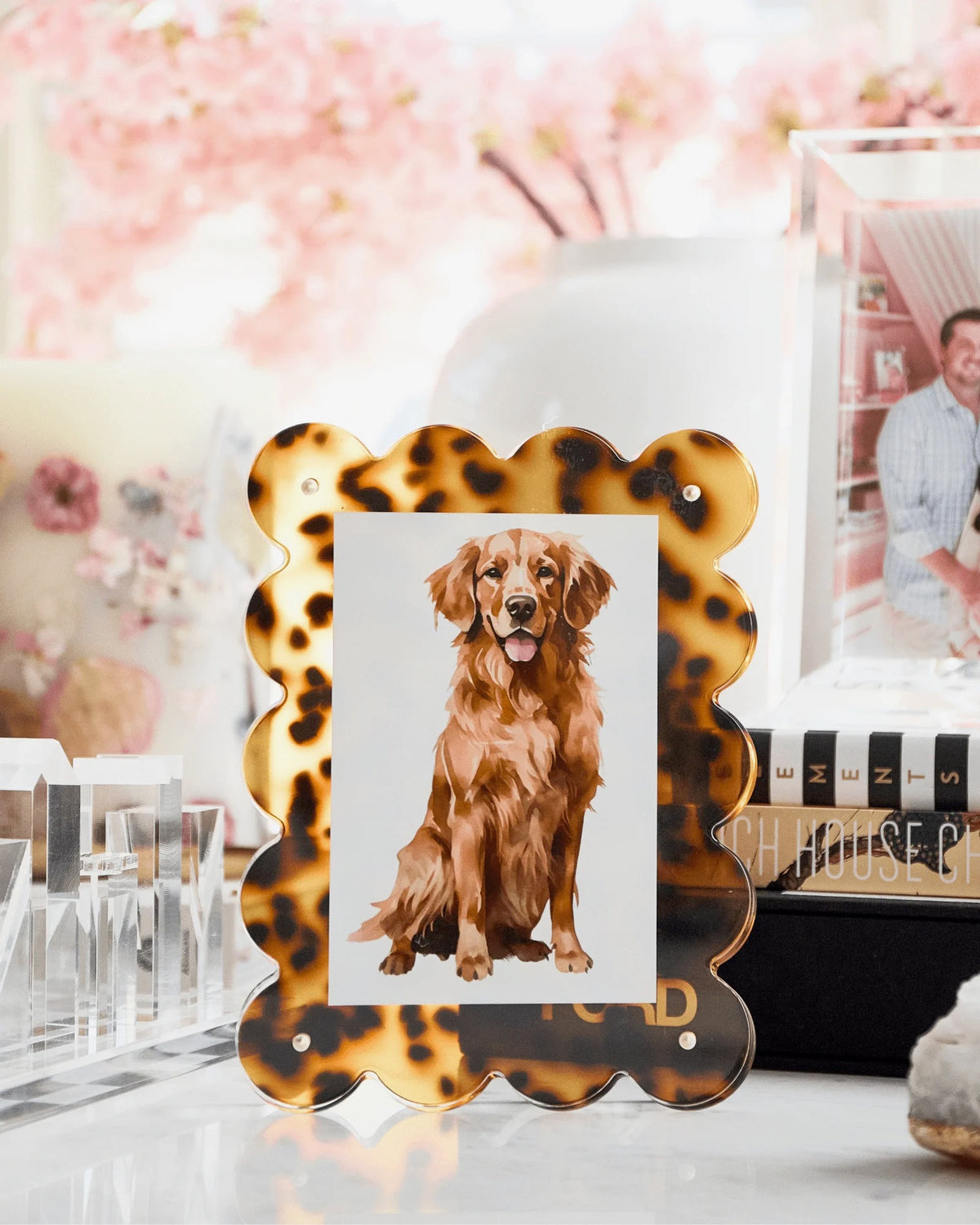 TORTOISE ACRYLIC PICTURE FRAME