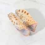 SEASHELL TAN HAIR CLIP